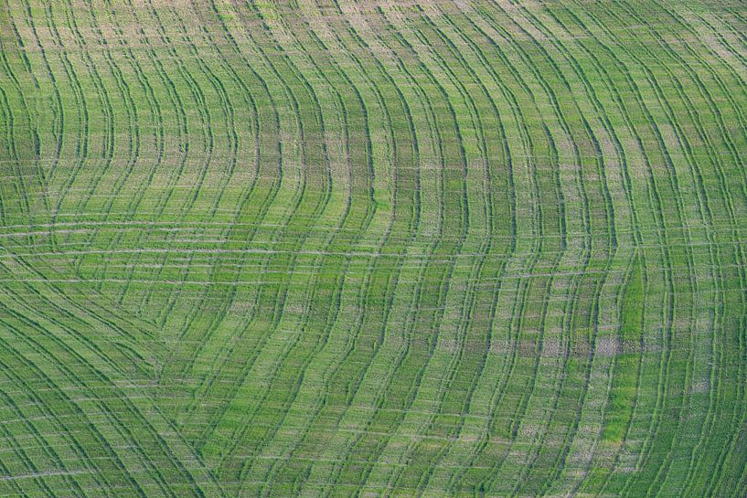 Crete Senesi von Walter G. Allgöwer