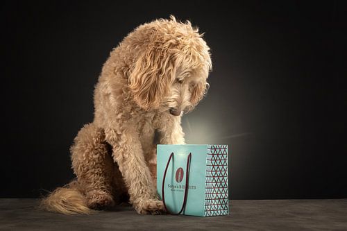 The magic Biscuit Bag van Nuelle Flipse