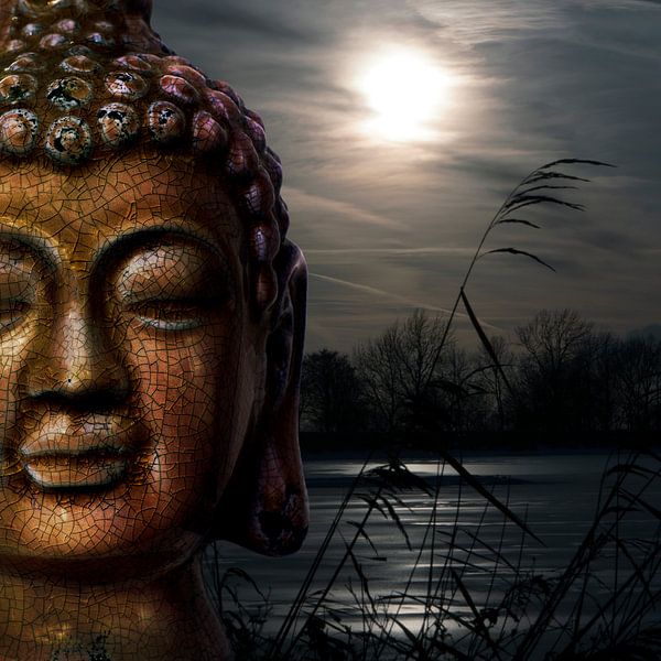 Zen (Bouddha) II par Rob van der Teen