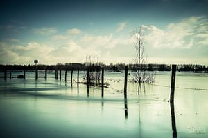 Hogewater omringt de afrasting van de natuurgebied van Tina Linssen