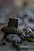 Old Railroad Bolt