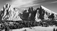 Alpe di Siusi in Black and White