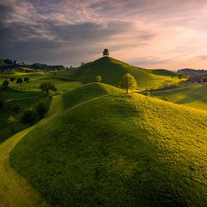 Das Paradies des Landmäurers für Männer