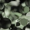 Abstract: Circles in shades of green by Marjolijn van den Berg