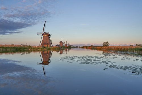 Landschap Kinderdijk