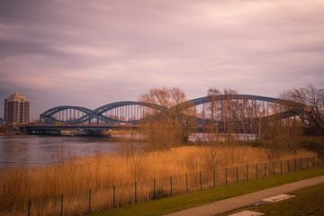 Ufer der Elbe mit Stahlbrücke von Kim Phillip Brosien
