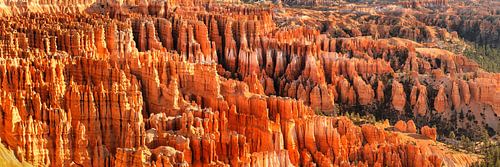 Bryce Amphitheater at sunset, Bryce Canyon, USA