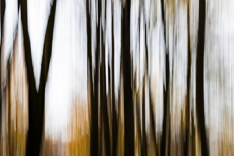 Herbst im Waldhaus Drei, abstrakt #2 von Hans de Waay