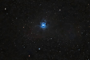 Iris nebula