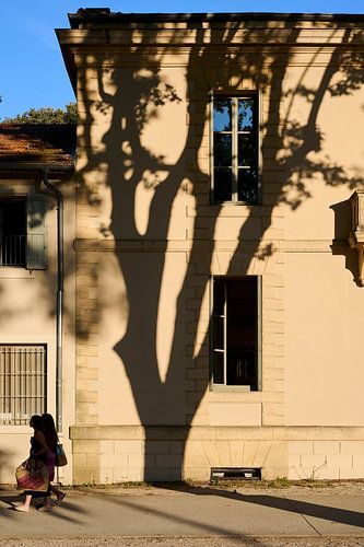 Gevel met schaduwspel van boom van Sjoerd van der Hucht