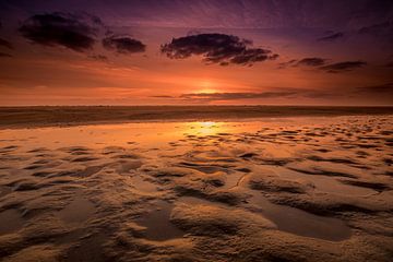 Sandhill at sunset