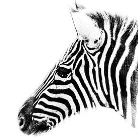 Zebra in zwart-wit van BBas Fotografie