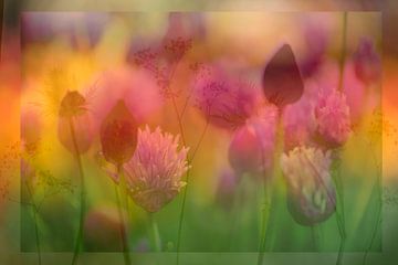 Une explosion de couleurs des fleurs d'été (montage créatif de différentes fleurs) sur Birgitte Bergman
