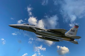 F-15 Eagle, McDonnell Douglas F-15 Eagle, USAF van Gert Hilbink
