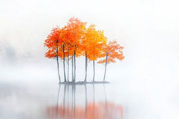Autumn trees in the fog - Quiet by Poster Art Shop