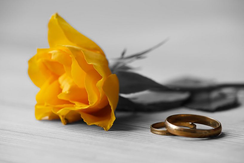 Rose und Ringe als Zeichen der Liebe von Heiko Kueverling