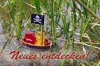 Ontdek iets nieuws - The Gummi Bear Pirates van Ingo Laue thumbnail