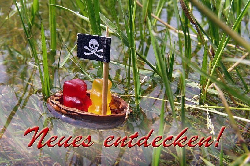 Ontdek iets nieuws - The Gummi Bear Pirates van Ingo Laue