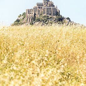 Mont Saint-Michel with reeds in the foreground by Liset Verberne