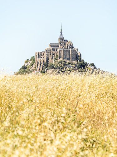 Mont Saint-Michel with reeds in the foreground