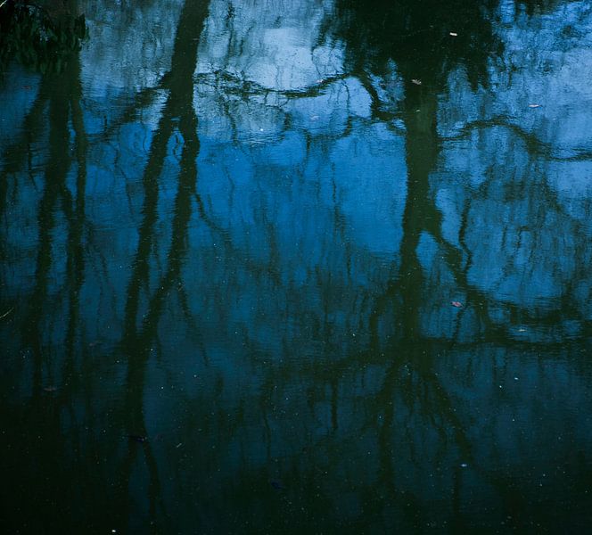 Weerspiegeling van bomen en blauwe lucht in water van Godelieve Luijk