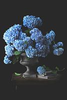 Vieux vase avec hortensias bleus