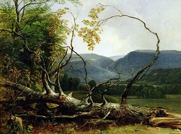 Asher Brown Durand,Étude de la nature, Stratton Notch