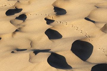 Sporen in de Taklaman woestijn van China van Simon Hazenberg