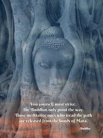 Thai Buddha tree by Misja Vermeulen