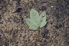 Looking down by Foto Oger