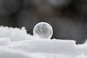 Bevroren zeepbel in de sneeuw