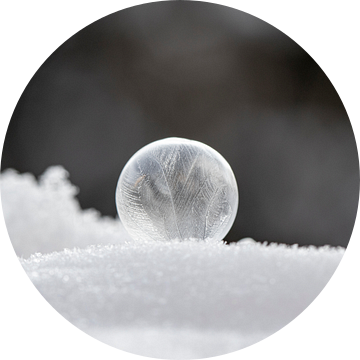 Bevroren zeepbel in de sneeuw van Tanja van Beuningen
