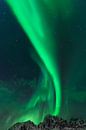 Nordlichter oder Aurora Borealis über den Lofoten-Inseln in Nord-Norwegen von Sjoerd van der Wal Fotografie Miniaturansicht