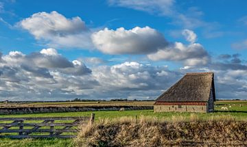 Schapenboet Texel van Texel360Fotografie Richard Heerschap