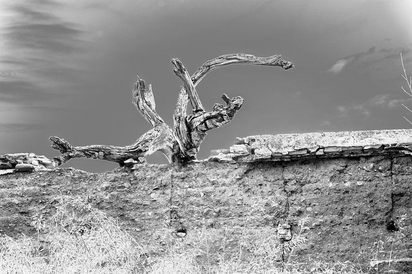 From another world by Arend van Beek