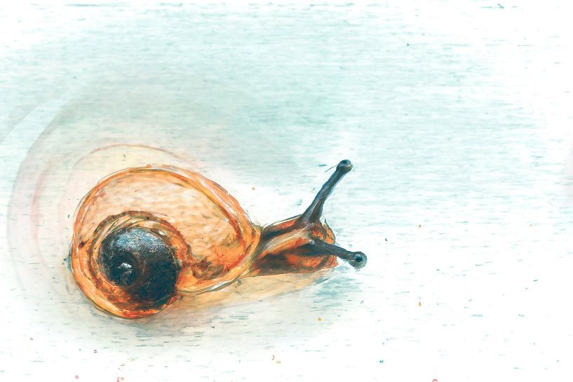 Le voyage d'un petit escargot par Studio Mirabelle