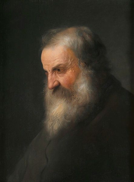Old man's head, Jan Lievens by Masterful Masters