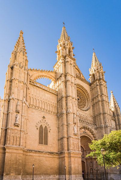 Detail van Kathedraal La Seu in Palma de Majorca, Spanje van Alex Winter