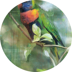 Tropische vogel - digitaal artwork in mixed media stijl van Emiel de Lange