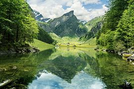 Seealpsee in de richting van het Alpsteingebergte van Besa Art