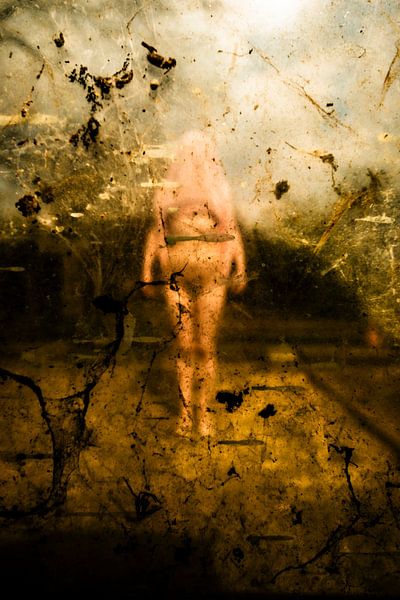 Charlotte Blancos through a barn window (6) by Hans Dethmers
