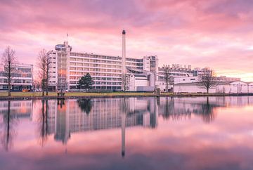 Van Nelle factory Rotterdam by Ilya Korzelius