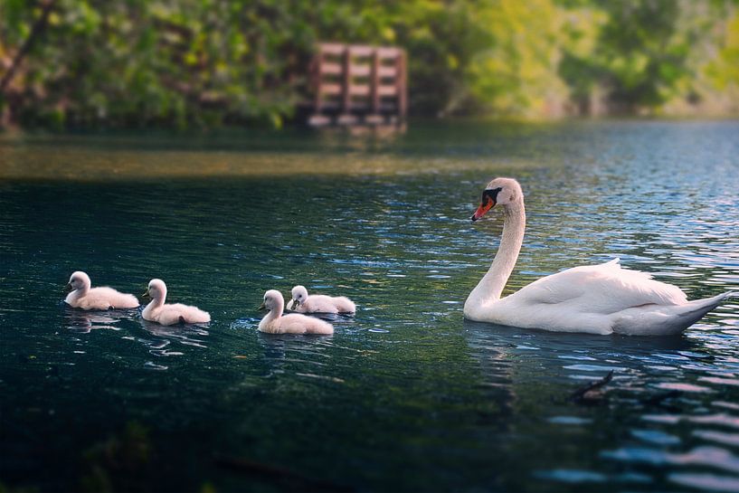 Voyage paisible en famille sur le lac par Conpo Design