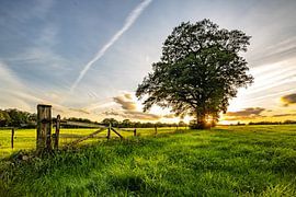 Atmosphere plate Markelo. by Frank Slaghuis