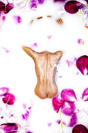 Frau im Milchbad von Marian Korte