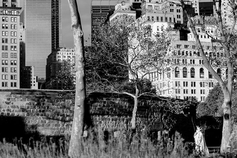 Lebende Freiheitsstatue New York. von Rick Nederstigt