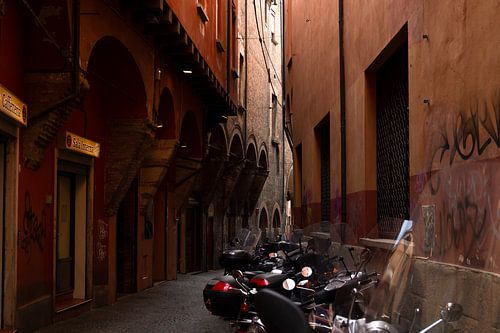 Ins Licht von Klaske Kuperus