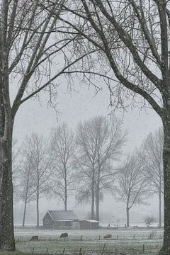 Die Landschaft: Schuppen auf der Wiese im Winter von Moetwil en van Dijk - Fotografie