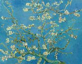 Mandelblüte von Vincent van Gogh (Blau) von Masters Revisited Miniaturansicht
