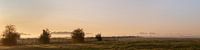 Panoramafoto mistige polder bij ochtendlicht 2 van Percy's fotografie thumbnail